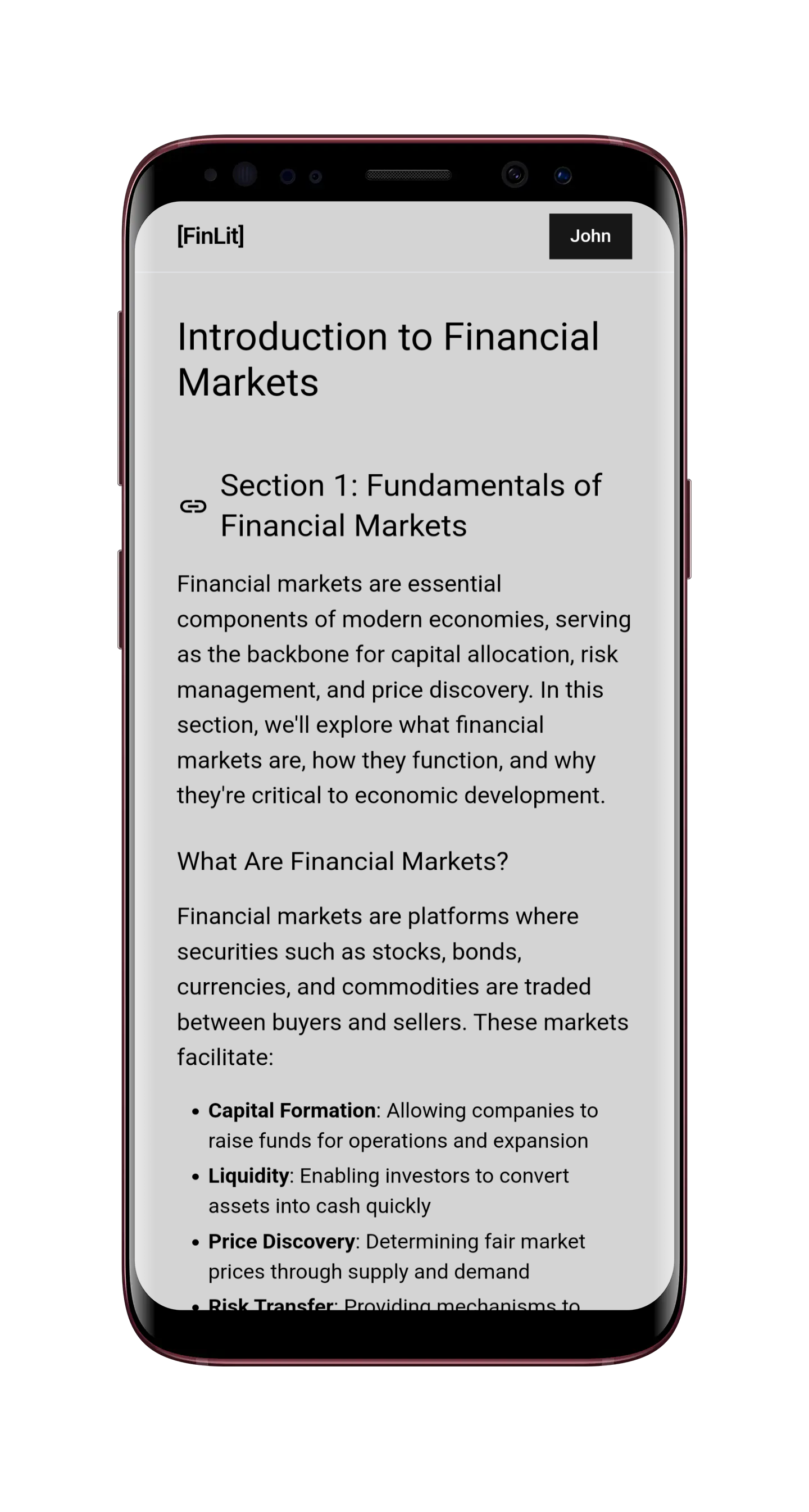 Branding & SaaS Platform Development for Finlit - Image 2