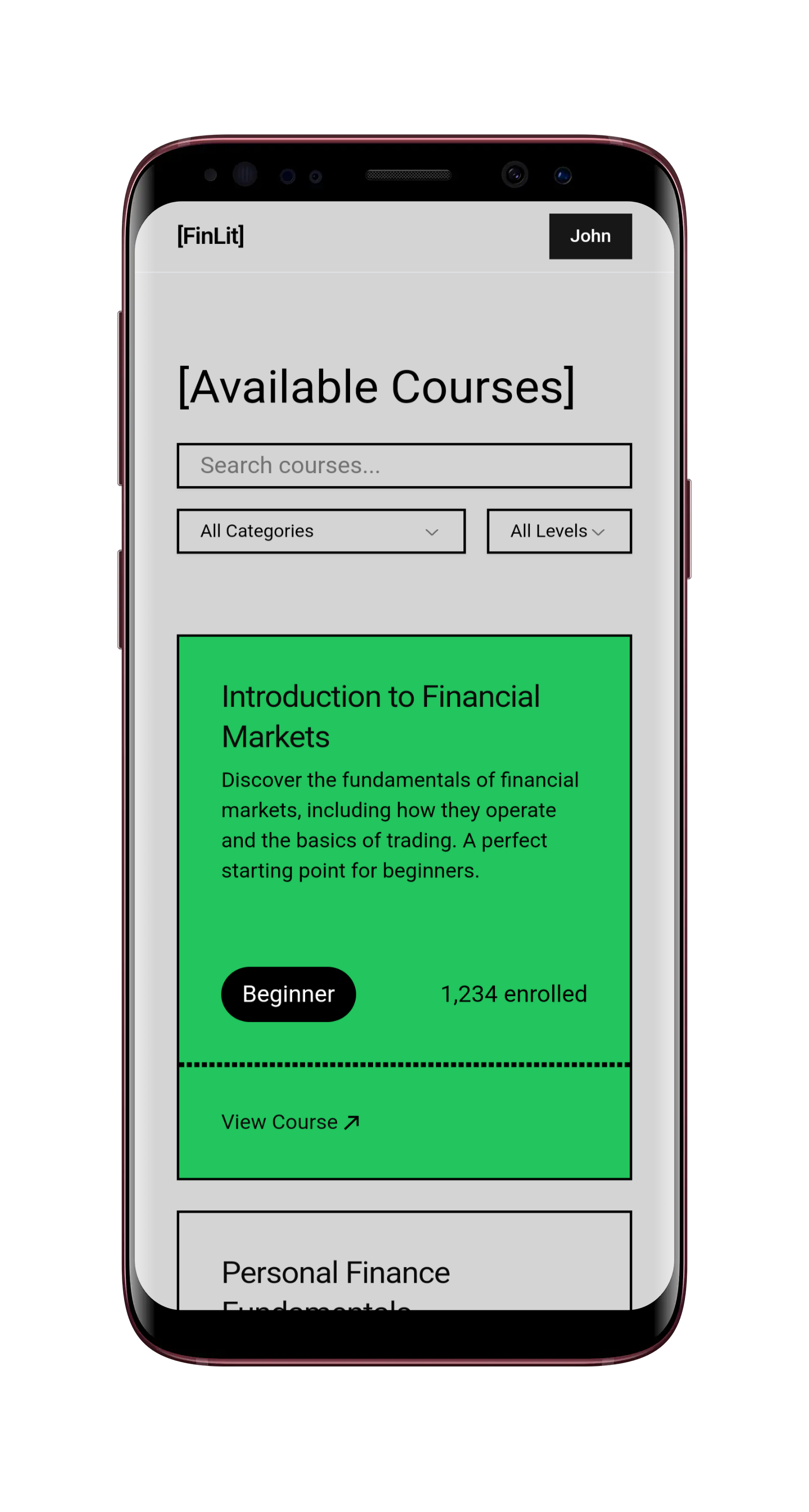 Branding & SaaS Platform Development for Finlit - Image 3