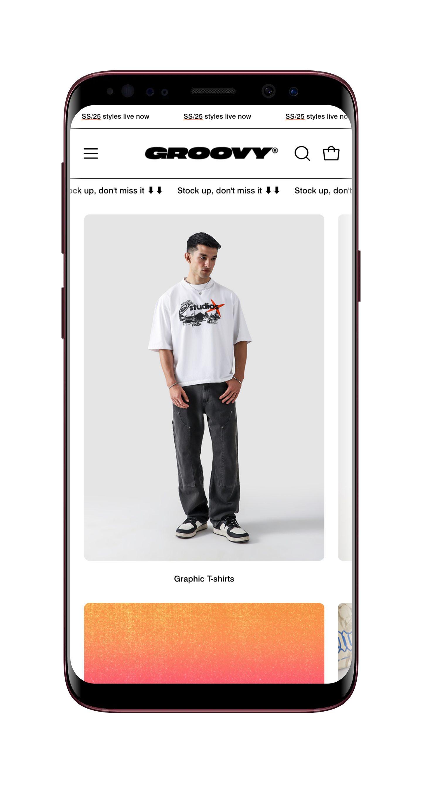 Website Development for Groovy Pakistan - Image 6