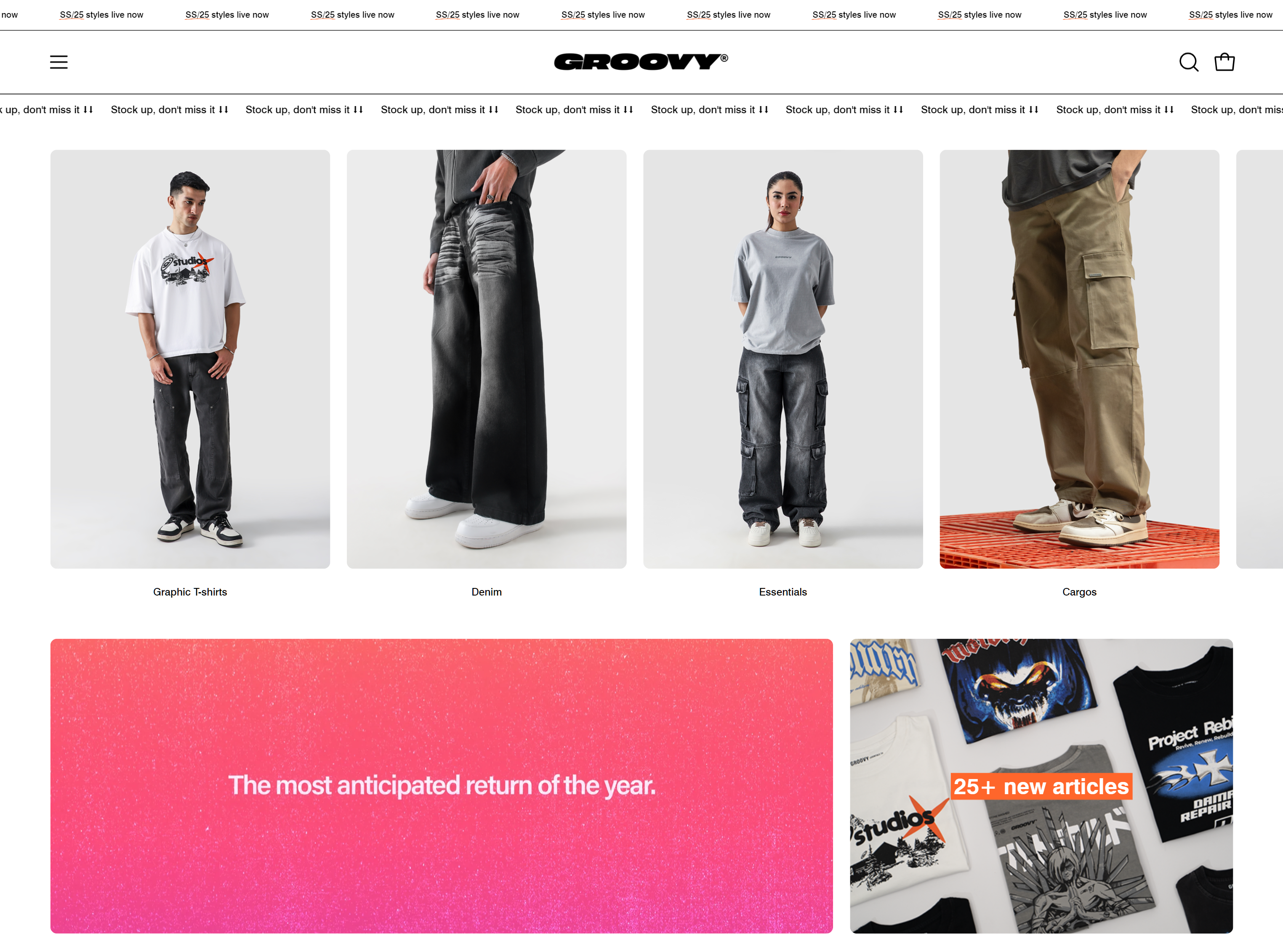 Website Development for Groovy Pakistan - Image 8